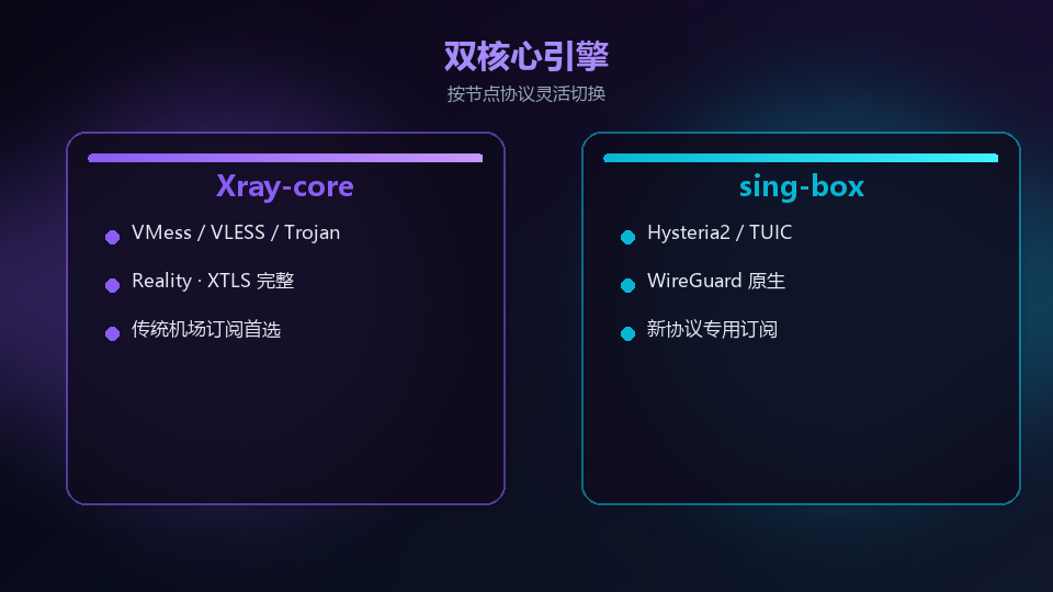 Xray 与 sing-box 核心对比示意